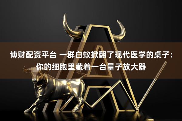 博财配资平台 一群白蚁掀翻了现代医学的桌子：你的细胞里藏着一台量子放大器