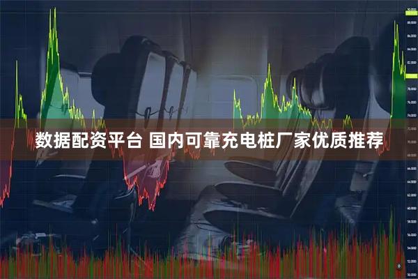 数据配资平台 国内可靠充电桩厂家优质推荐
